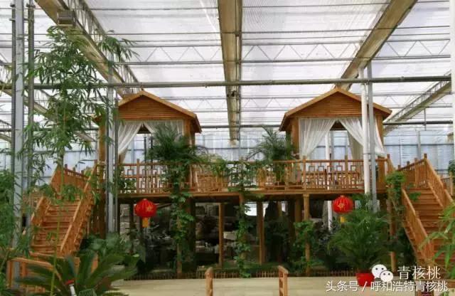 清明陵园交通管制最新,清明墓区交通管制