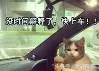 扶稳了，郫都人！郫都区13大镇在别人眼中居然是这样！