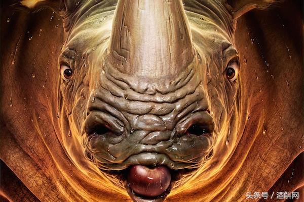 100种解酒偏方,全球最全解酒方法