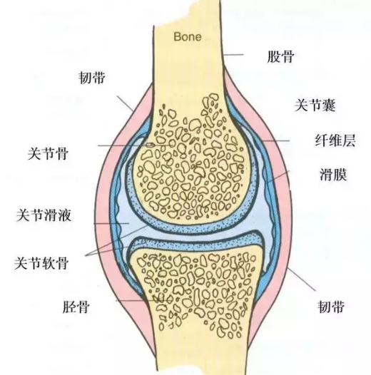乍暖还寒关注预防感冒,乍暖还寒谨防感冒