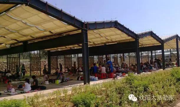 沈阳周边有什么踏青的好地方,沈阳野餐露营的好地方