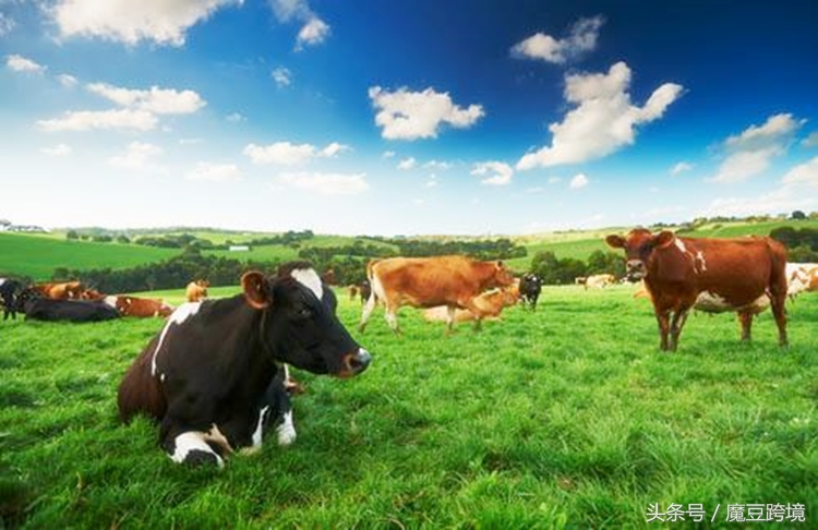 海购有什么好的东西,海购推荐