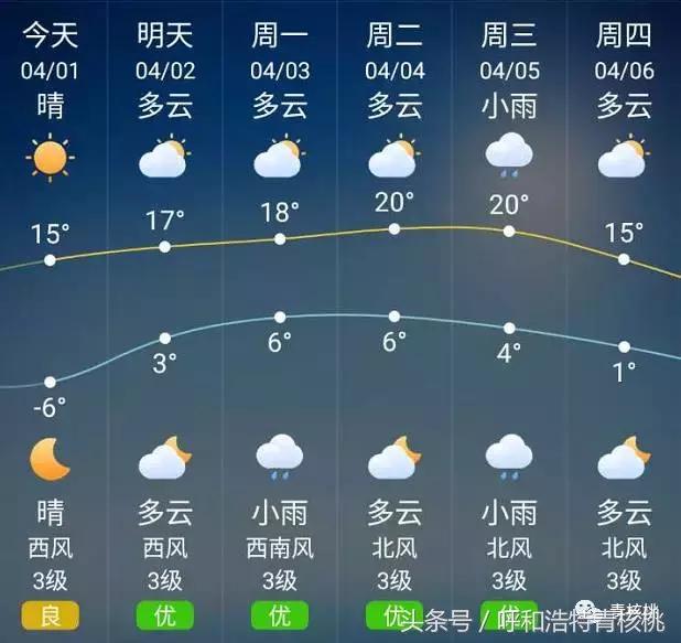 清明陵园交通管制最新,清明墓区交通管制
