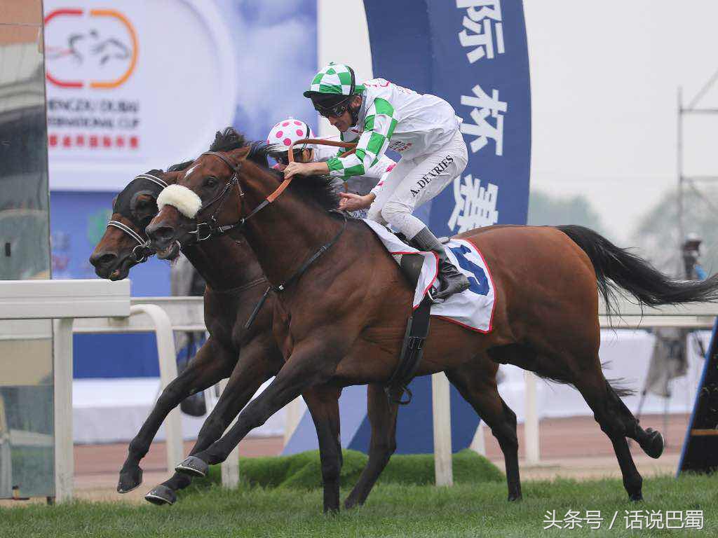 成都迪拜国际杯赛马今日举行中国骑师王文勋首战告捷