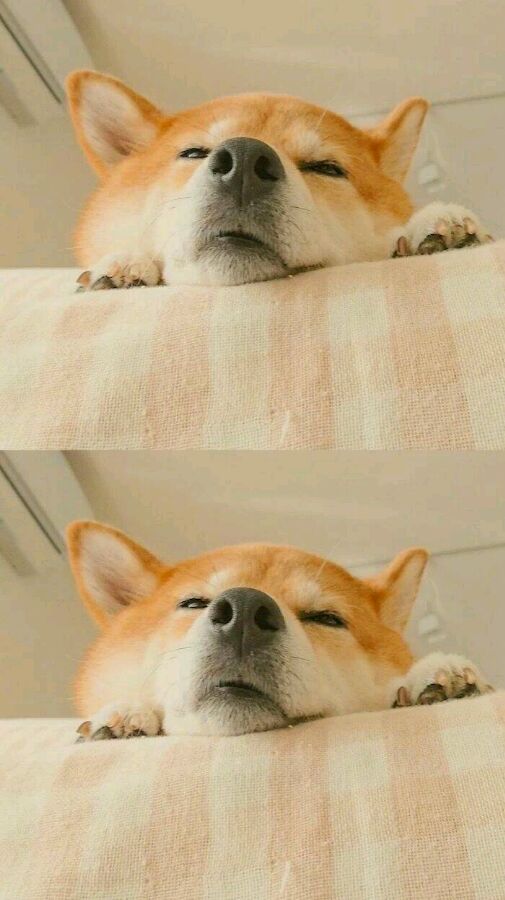 超高清无水印手机壁纸大图,4k超清壁纸1080p无水印全屏二次元