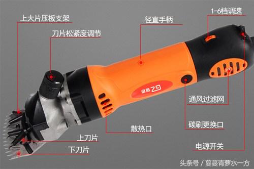 剪羊毛的图片图文,最火剪羊毛视频