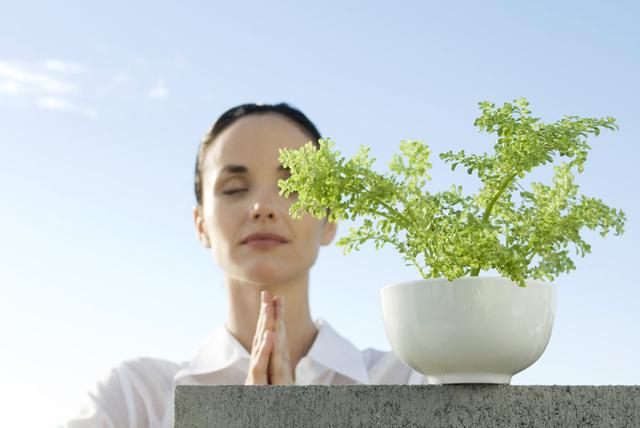 道医辟谷关注事项有哪些,中医养生知识大全辟谷方法