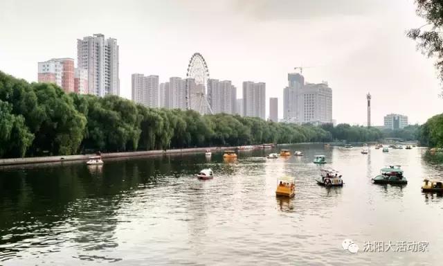 沈阳周边有什么踏青的好地方,沈阳野餐露营的好地方