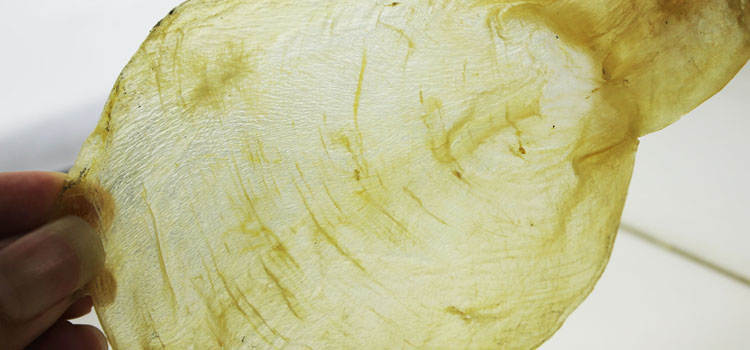 花胶是女人最好的保养品吗,养颜花胶排行榜