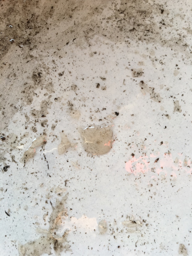 雪佛兰景程加油就熄火怎么回事,雪佛兰新景程故障大全