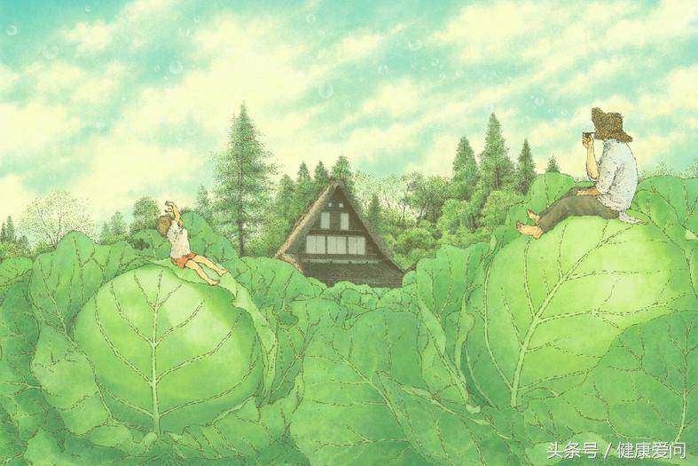 治疗胃溃疡和十二指肠溃疡的草药,促进十二指肠溃疡修复