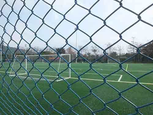 深圳的东湖公园怎么样,深圳市东湖公园