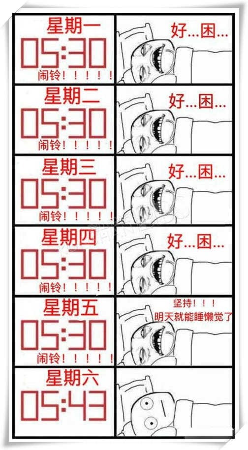 足球进球观众呐喊庆祝瞬间,足球逗比瞬间