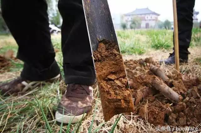 一群男人列队欢迎,霸道总裁出场一群男生迎接
