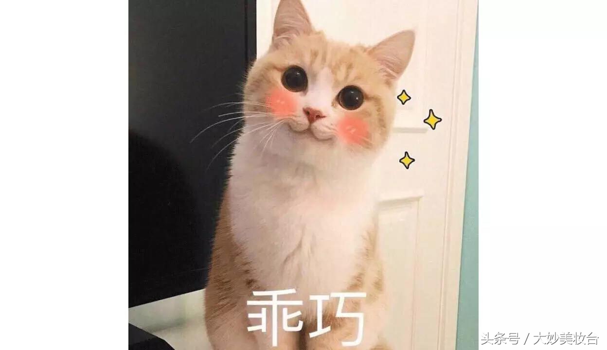 彩妆必买100种,彩妆推荐平价不超过300元的品牌