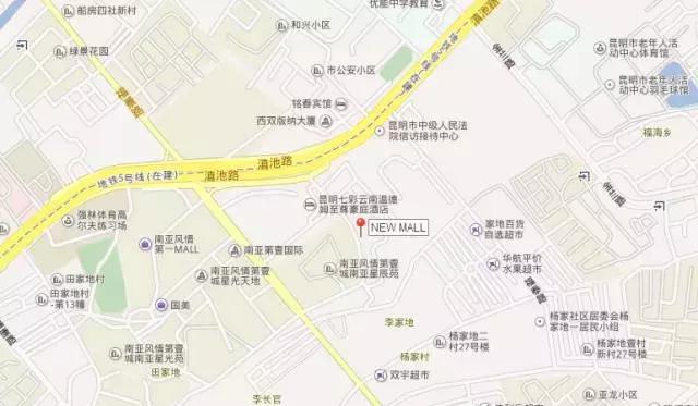 金箔冰淇淋是什么,金箔冰淇淋