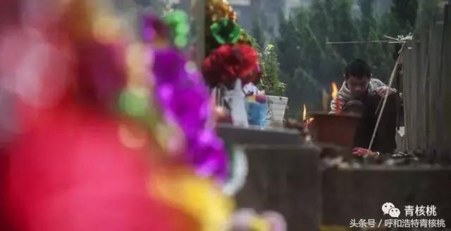 清明陵园交通管制最新,清明墓区交通管制