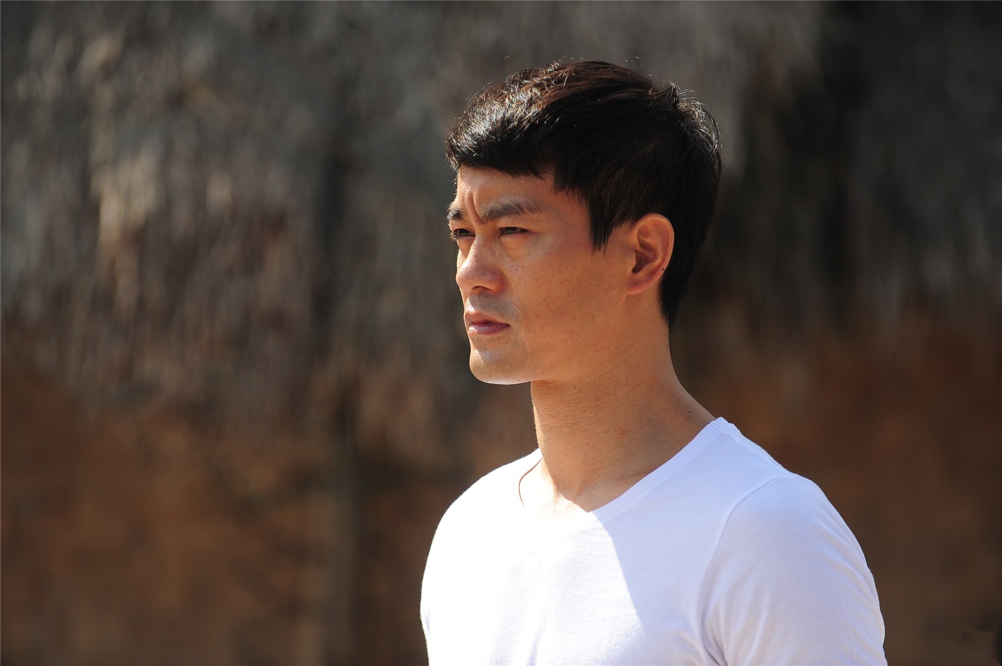 功夫经典片段陈国坤,功夫陈国坤粤语