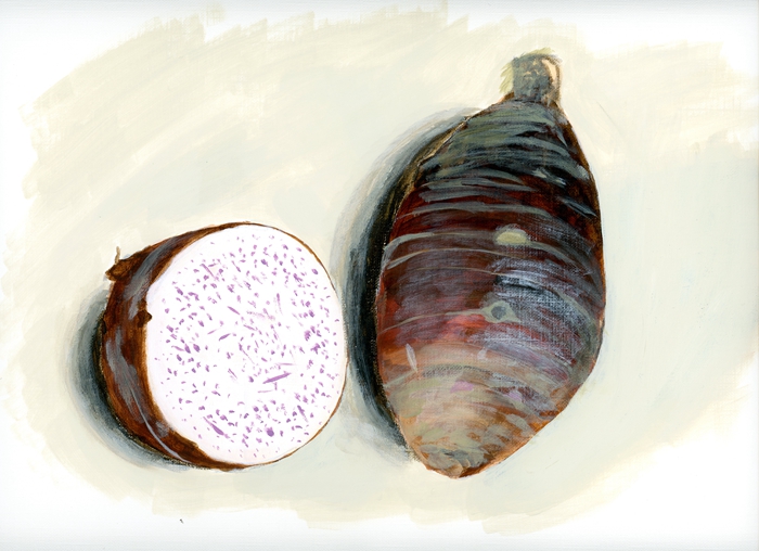 芋头防癌抗癌抗复发吗,芋头抗癌