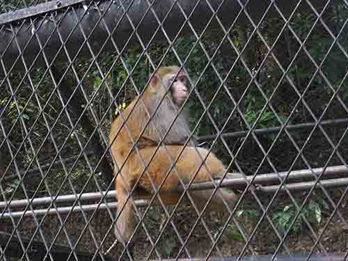 深圳的东湖公园怎么样,深圳市东湖公园