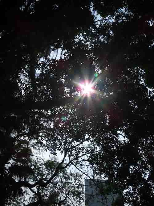 深圳的东湖公园怎么样,深圳市东湖公园