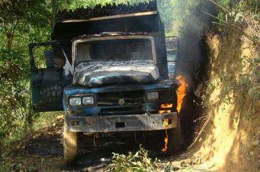 夜里路上兔子拦路被撞死,晚上开车遇见蛇过路蛇被打死