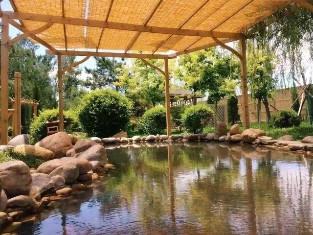 清明哪里适合踏青旅游,踏青沈北蒲河