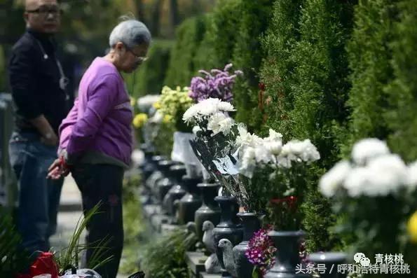 清明陵园交通管制最新,清明墓区交通管制