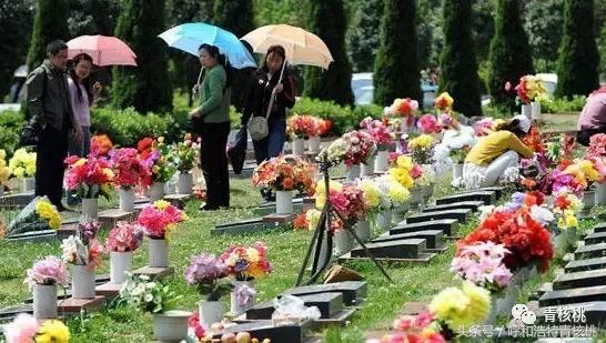 清明陵园交通管制最新,清明墓区交通管制