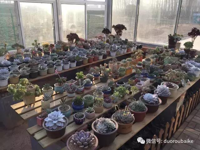 一入肉坑深似海下一句,一入肉坑深似海