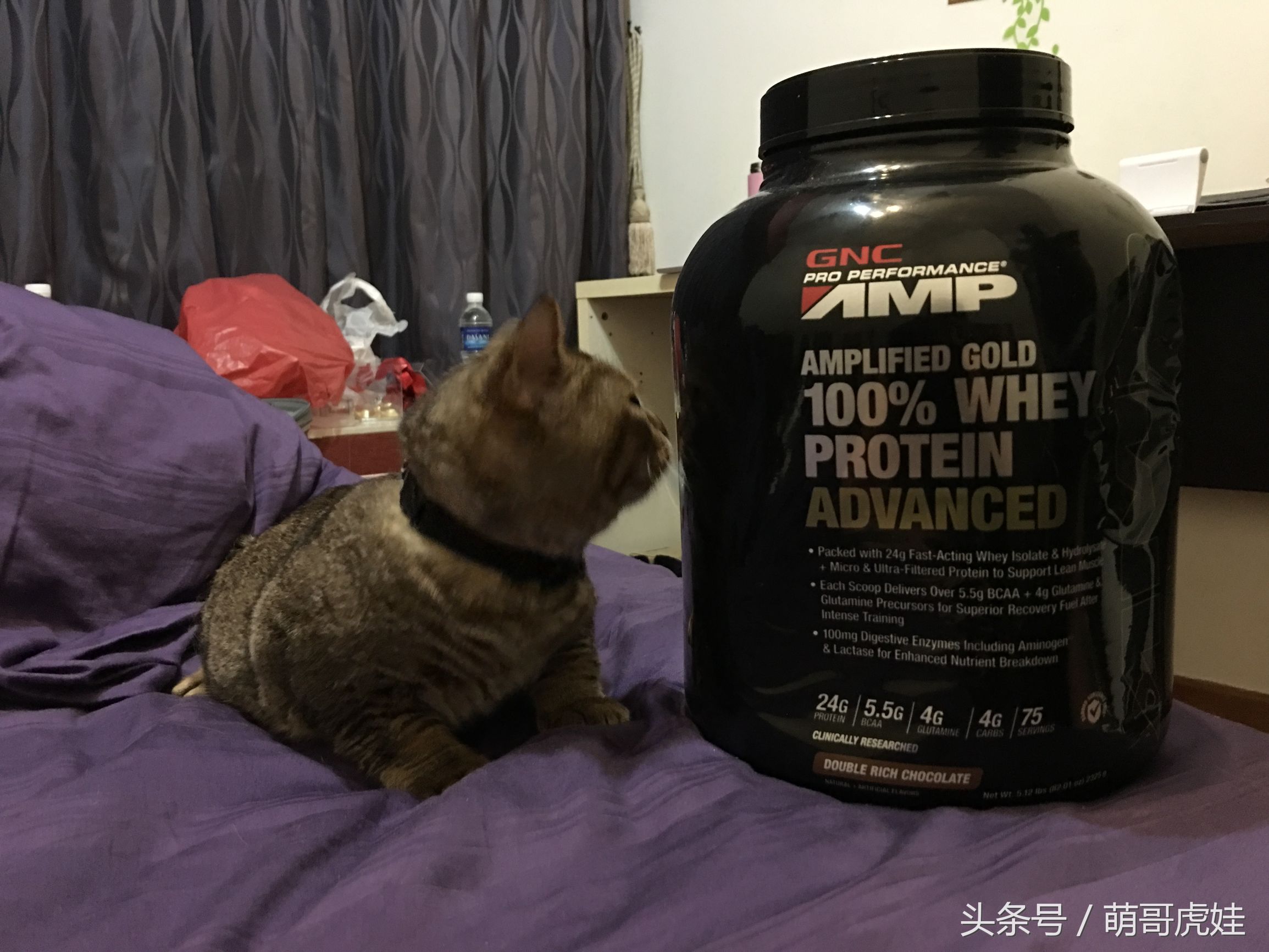 盘点喵星人睡觉被吓一跳的反应,喵星人和铲屎官的日常