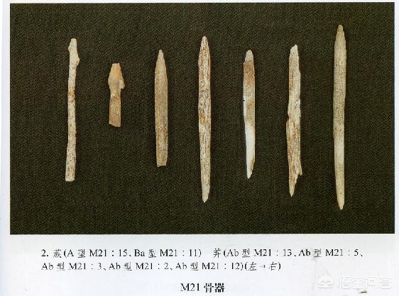 人类细思极恐的历史,人类历史上惨无人道的事件有哪些