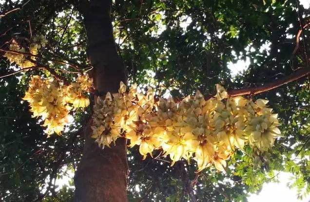 东莞下雨天一日游必去的景点,东莞清明有什么地方好玩的