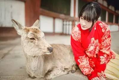 杨幂徐静蕾近况,杨幂买手办