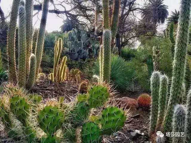 美国109岁老奶奶,109岁奶奶美国