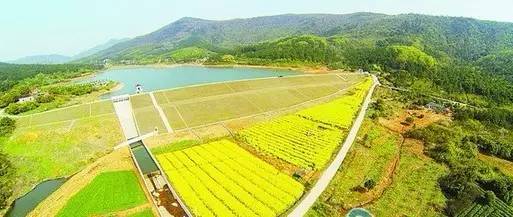 震惊！常州这些地方竟然这么黄！