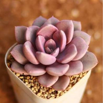 王者荣耀英雄pk古代英雄,王者荣耀英雄vs其他游戏英雄