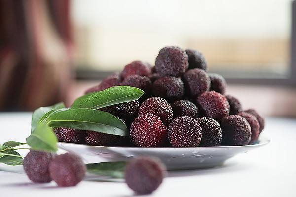 孕妇饮食最佳7种食物,孕妇饮食食物一览表