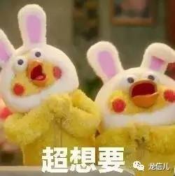 重庆自贸区涉及哪些区县 (重庆铜梁自贸区规划)