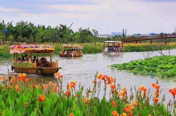 东莞下雨天一日游必去的景点,东莞清明有什么地方好玩的