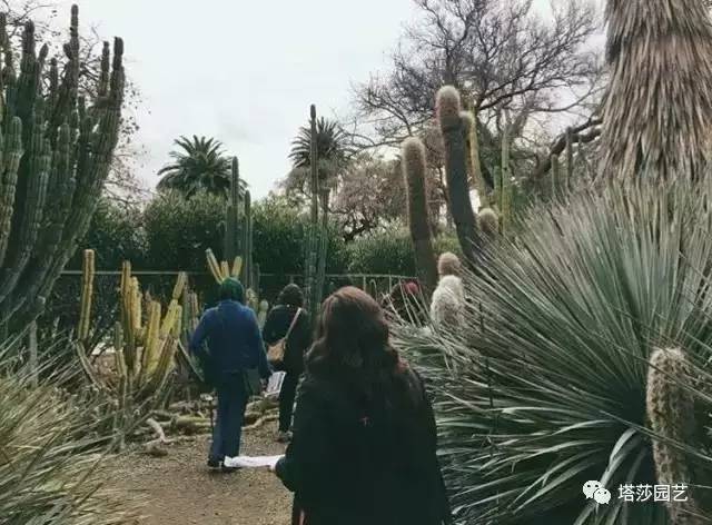 美国109岁老奶奶,109岁奶奶美国