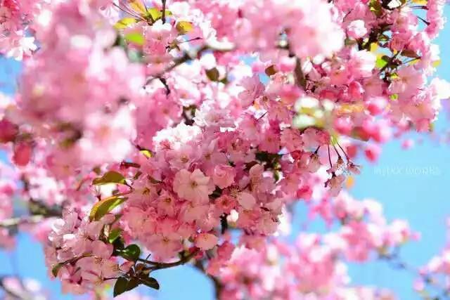 一周播报2017第10期你关心的本周热点都在这儿！凤凰湖免费WIFI、新社保卡、校庆留言……