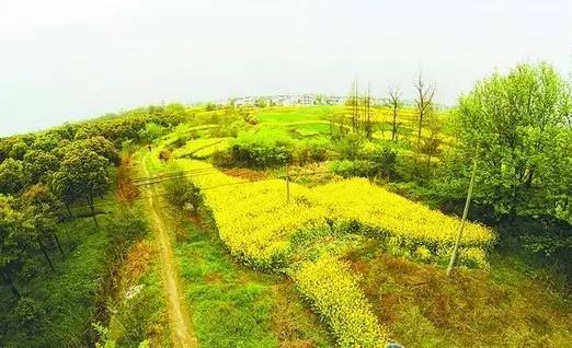 震惊！常州这些地方竟然这么黄！