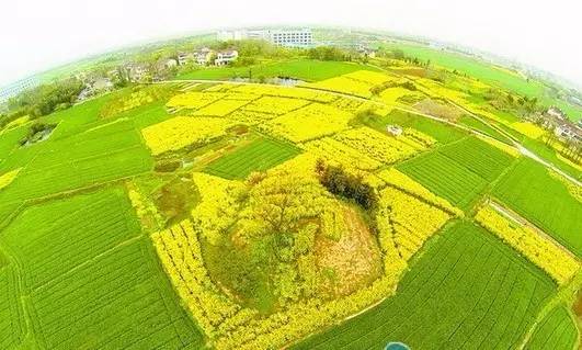 震惊！常州这些地方竟然这么黄！