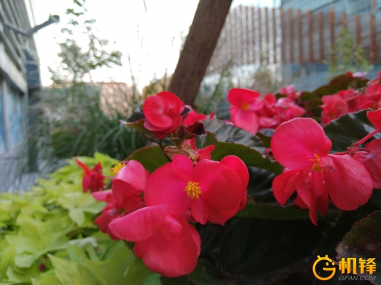 小米mixfold缺点吐槽,最大的缺点就是价格太低