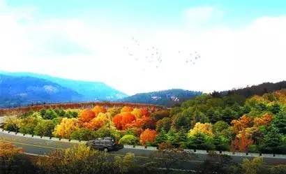 宁安路小学、宁德路小学、大枣园小学、李沧百果山、老虎山影视文化基地，一大批项目正在路上！