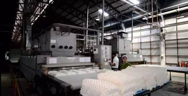 京造乳胶枕头和睡眠博士哪个好,乳胶1.5米长圆枕头护颈椎助睡眠