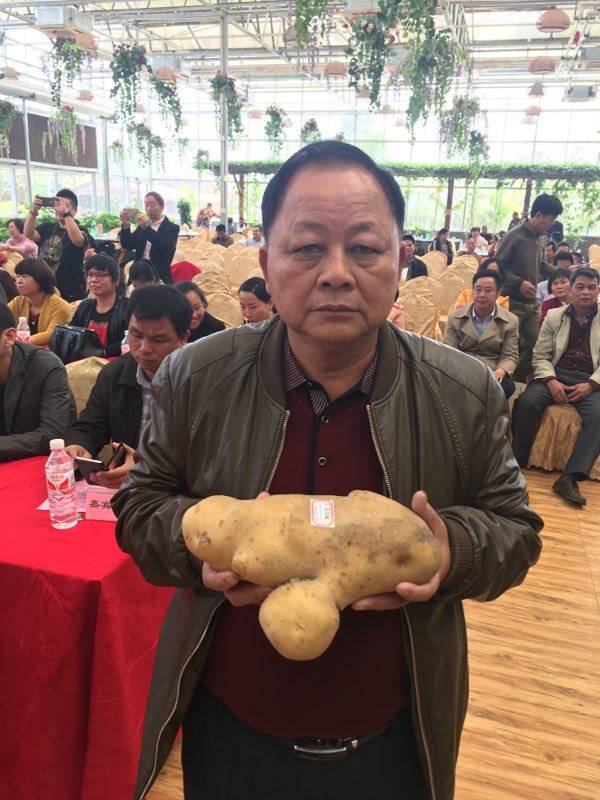 总重2.021公斤，“玉林薯王”横空出世！只是怎么觉得它长得像……