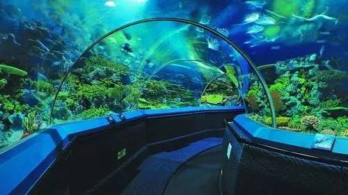 上海奉贤一日游最佳景点一览表,上海宝山区最值得去的五个景点