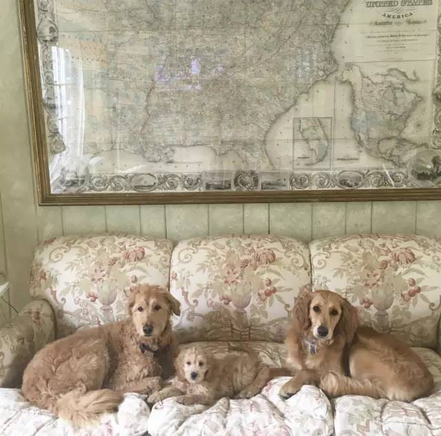 深夜东西｜时尚圈最强联姻，准新娘实力丝毫不输女魔头妈妈